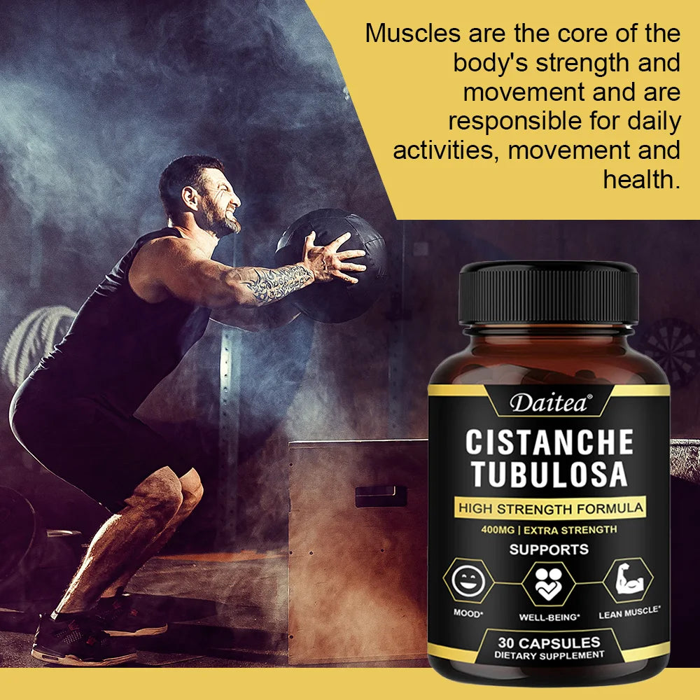 Cistanche Tubulosa 400 Mg Capsules, Support Healthy Muscle, Immunity and Memory , Non-GMO Deitary Supplement