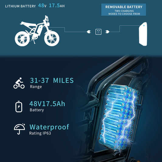 Xtion Electric Mountain Bike 750W 48V 17.5Ah 45Mile Class 3 E-Bike, 20" Fat Tire All-Terrain Bike with LCD Display UL Certified