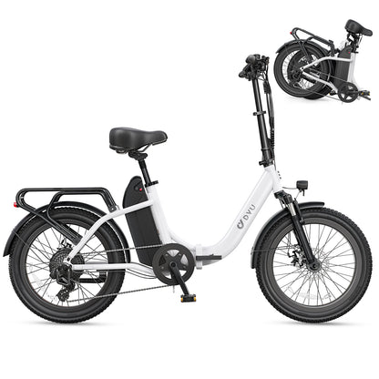 DYU C9 Electric Bicycle Peak 1000W Motor 48V15.6AH Lithium Battery Electric Bike Hydraulic Brake 20*3.0 Inch Fat Tire E-bike