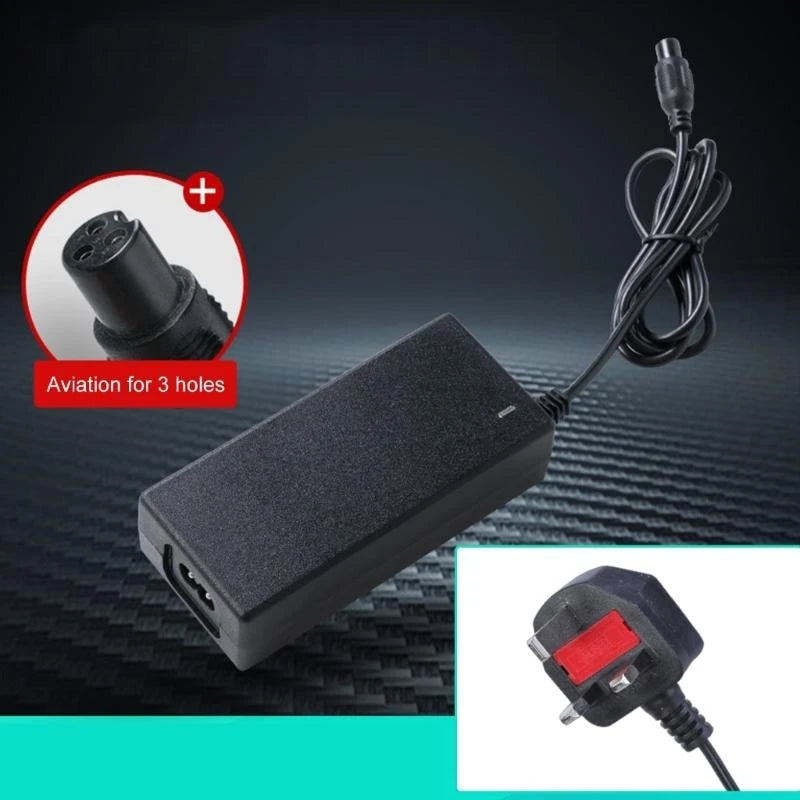 42V 2A Electric Scooter Hoverboard for Scooter Mobility Scooter Electric Bike
