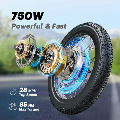 DYU C9 Electric Bicycle Peak 1000W Motor 48V15.6AH Lithium Battery Electric Bike Hydraulic Brake 20*3.0 Inch Fat Tire E-bike